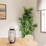 Maré Azul Appartement